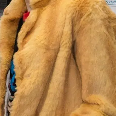 Profile image of 김주훈