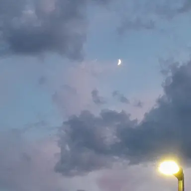 Profile image of 김애리