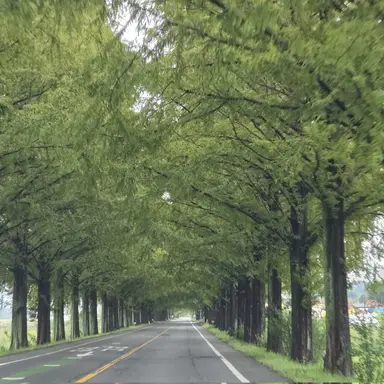 Profile image of 유지민