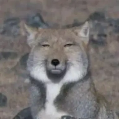 Profile image of 늑대