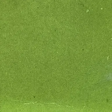 Profile image of 장나영