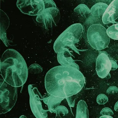 Profile image of 阿部亮平