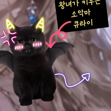 Profile image of 큐라이