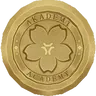 Profile image of Akademi highschool