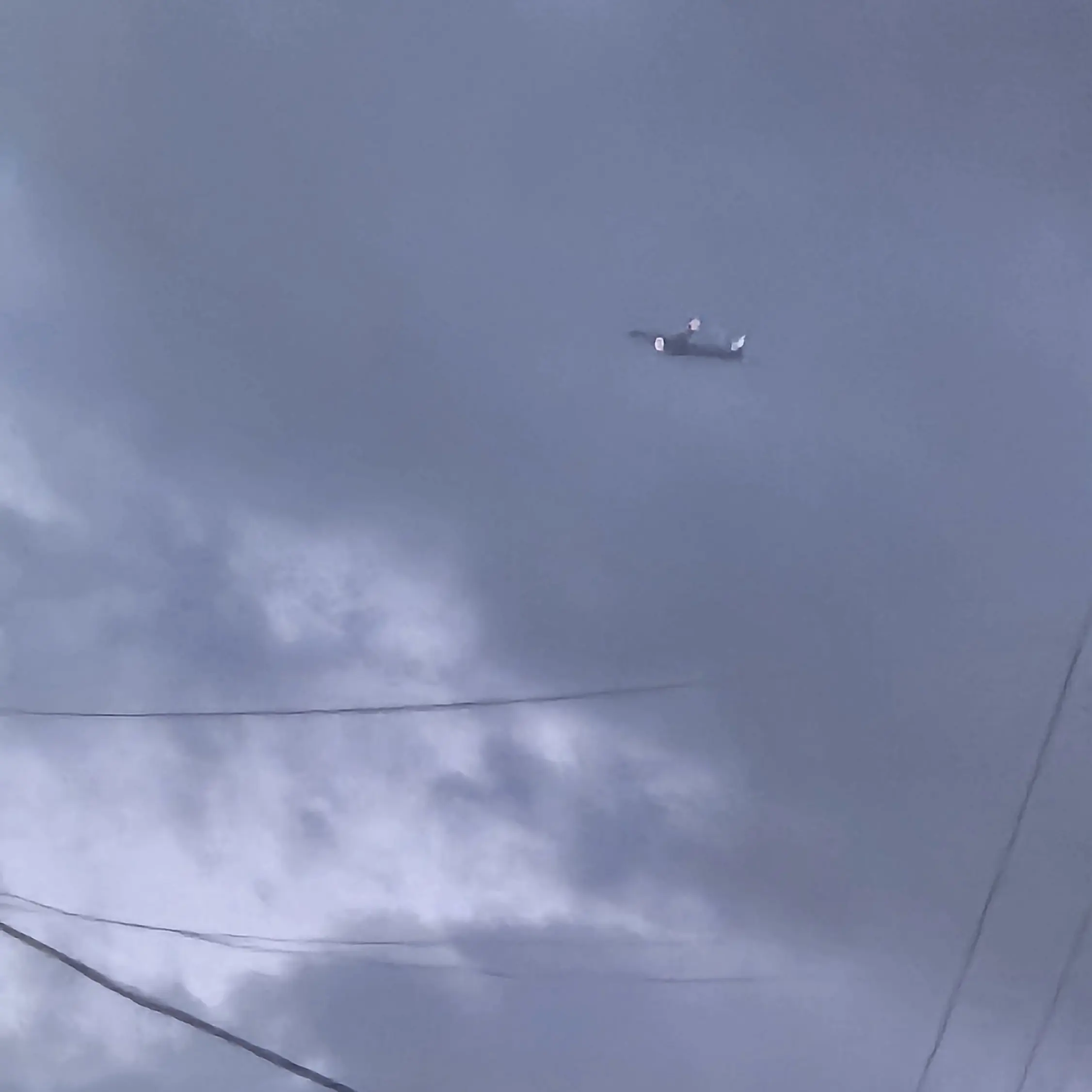 CroakyVeery4952의 팀나빠와 바다가기