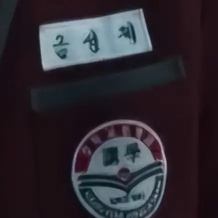 BoldLynx4716의 금성제