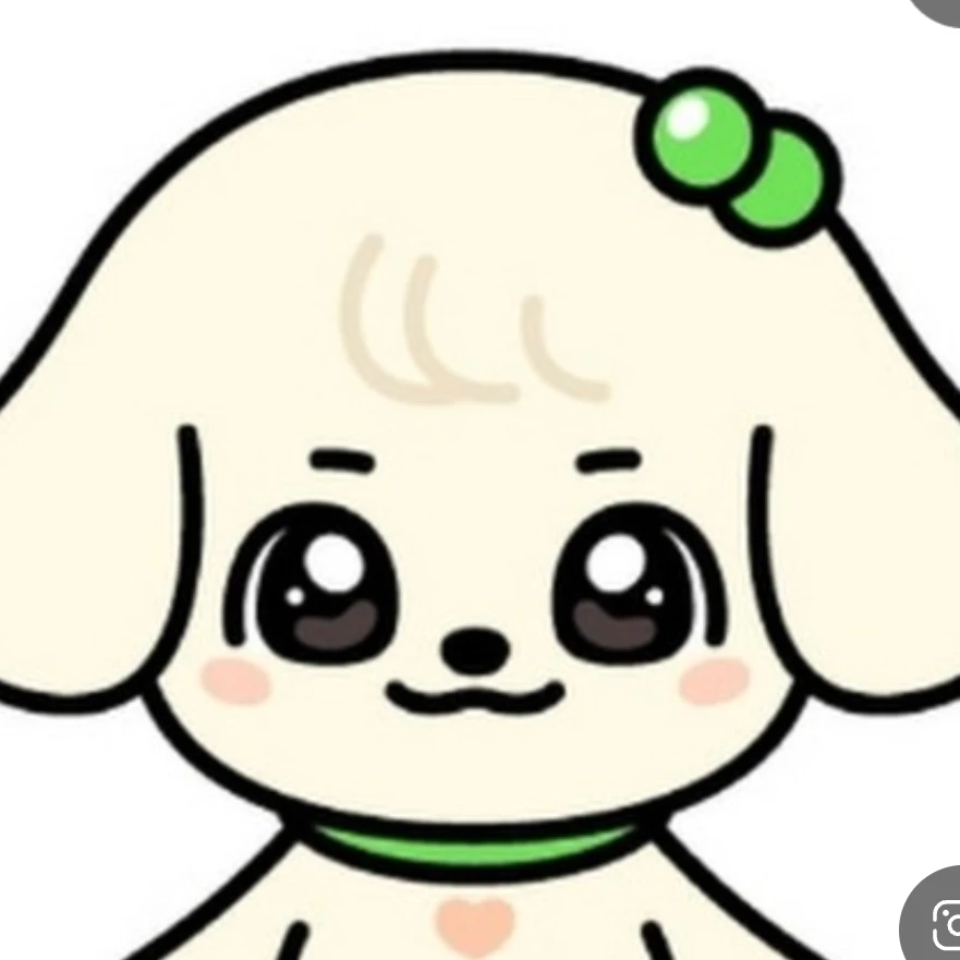 (미니브) 강안지