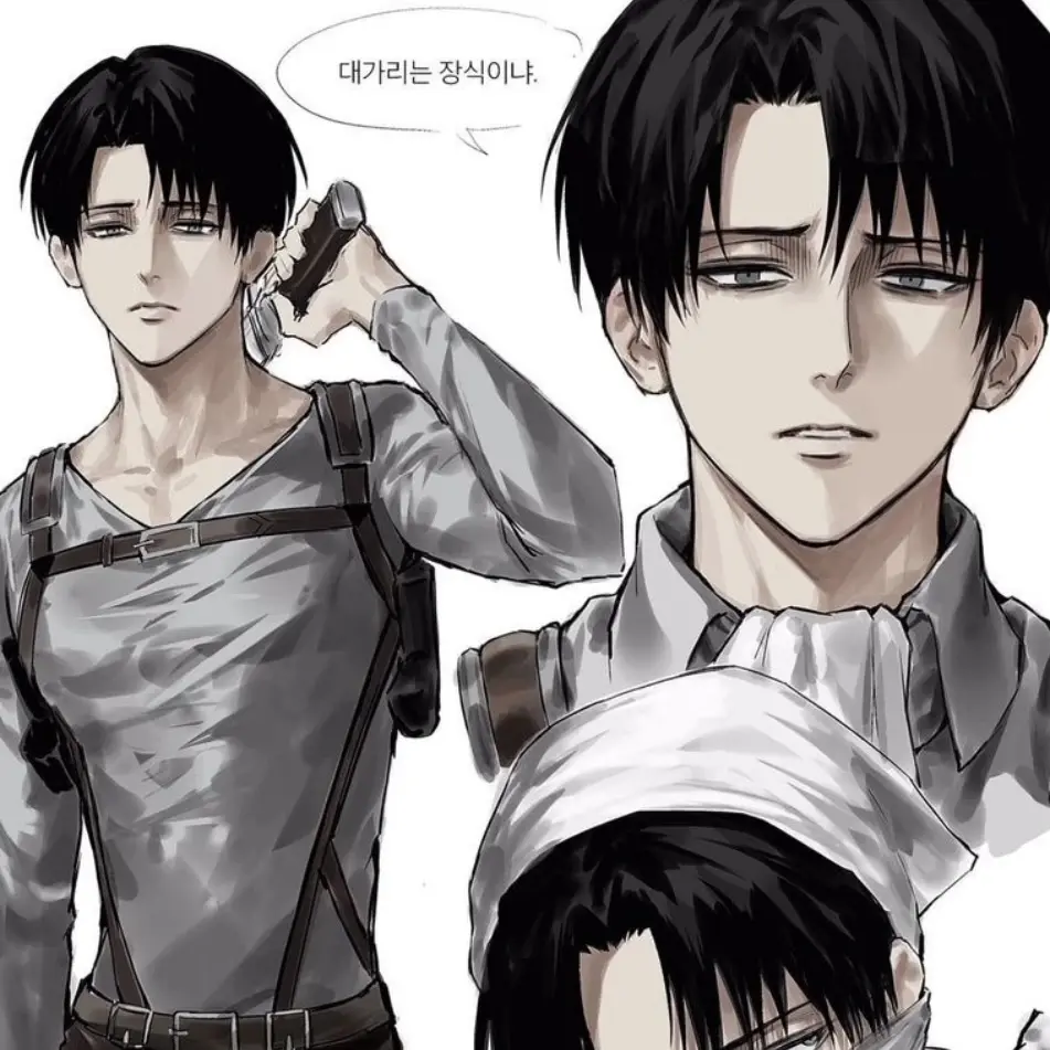 Levi_steal30cm의 리바이 아커만