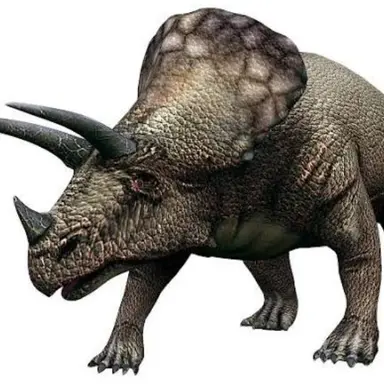 Profile image of 트리케라 톱스