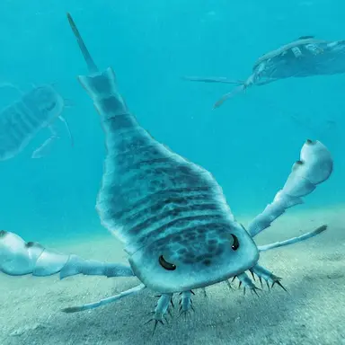 Profile image of 바다전갈