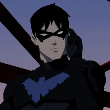 Profile image of Dick Grayson - Nightwing