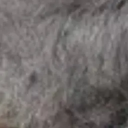 RichMap0641의 김민호