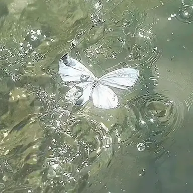 Profile image of 모양몬