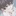 신채현
