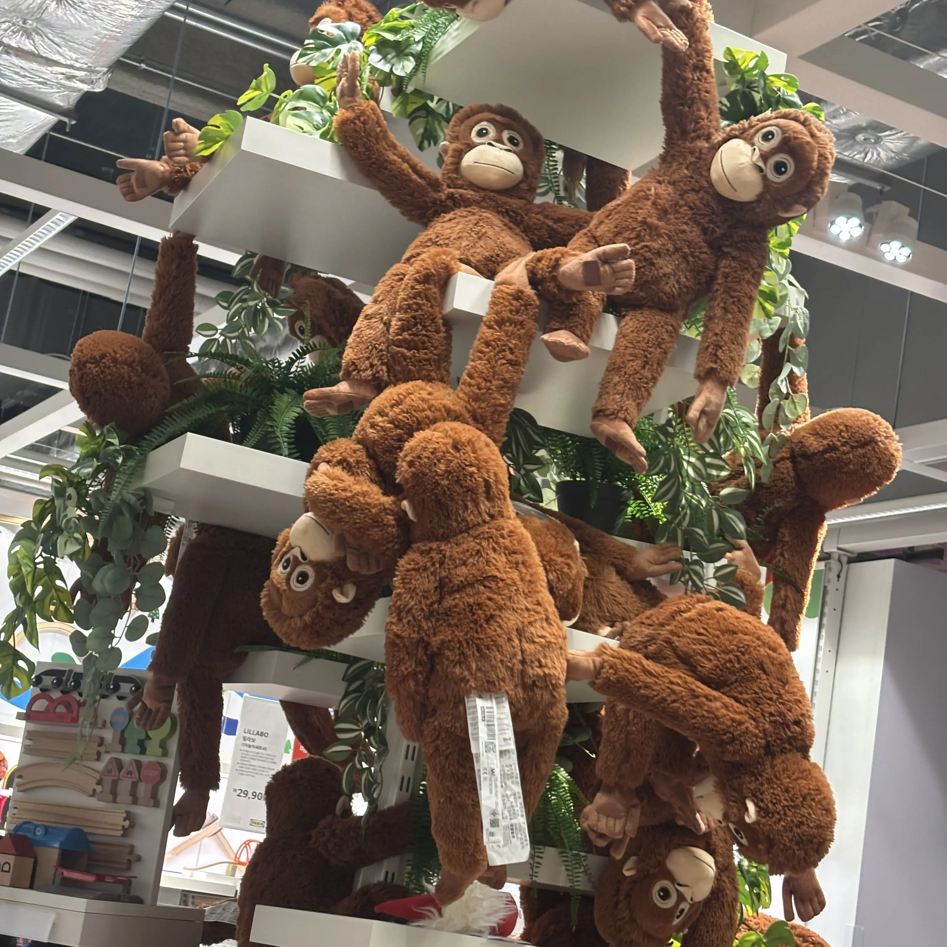 AptMarsh6151의 자매입원