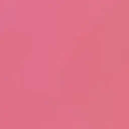 Profile image of 천보원