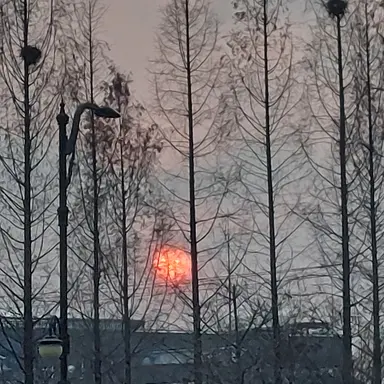 Profile image of 수현