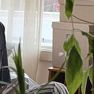 Profile image of 김도영