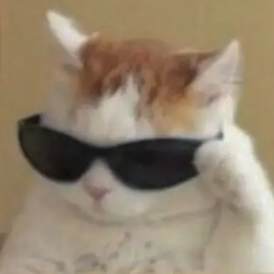 Profile image of 여우