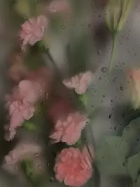 jyaz의 ⋆✦