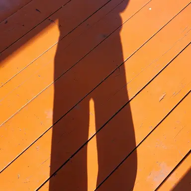 Profile image of 이여우