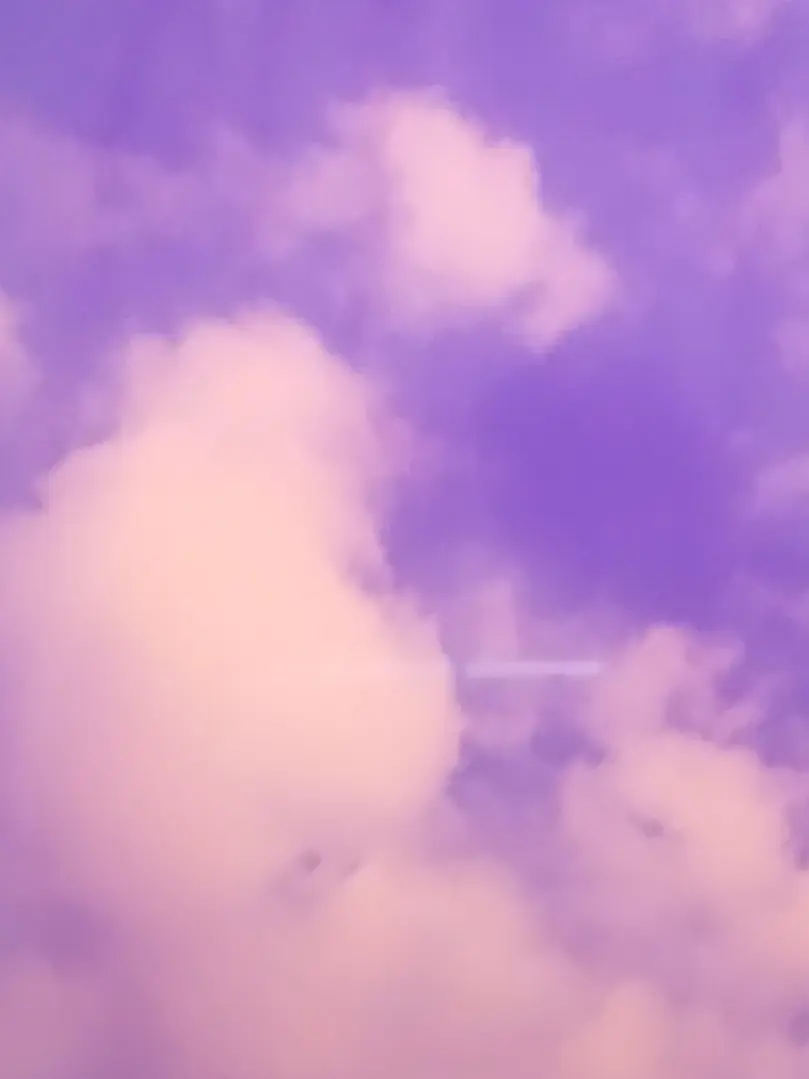 Panako의 一年い組