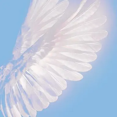 Profile image of イロ・クラウド