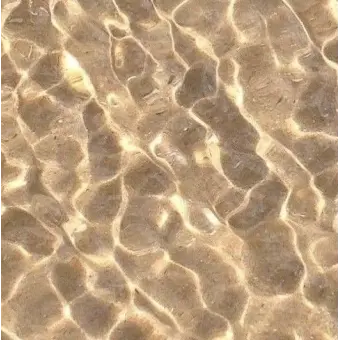 Profile image of 여우