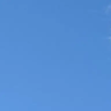 Profile image of 渡辺翔太