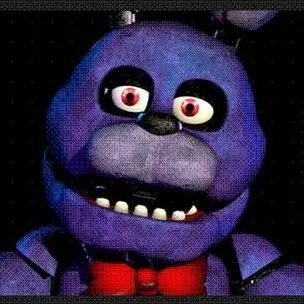 Profile image of Bonnie