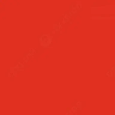 Profile image of 손채영