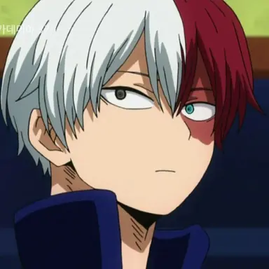 Profile image of Todoroki