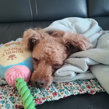 Profile image of 석규진