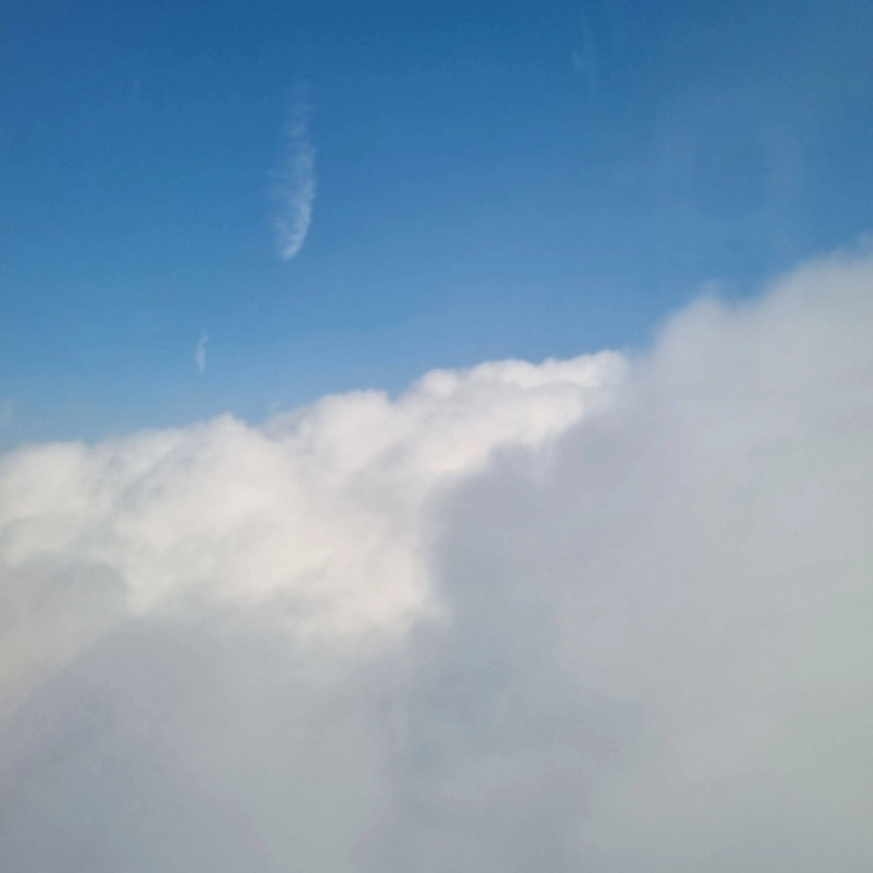 VIPyour의 이상한짓 하는 애들