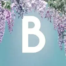 FishyLife5063의 Bridgerton - RPG