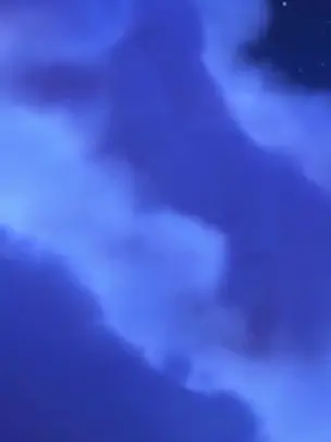 SillyBasil7408의 제오 《첫만남》