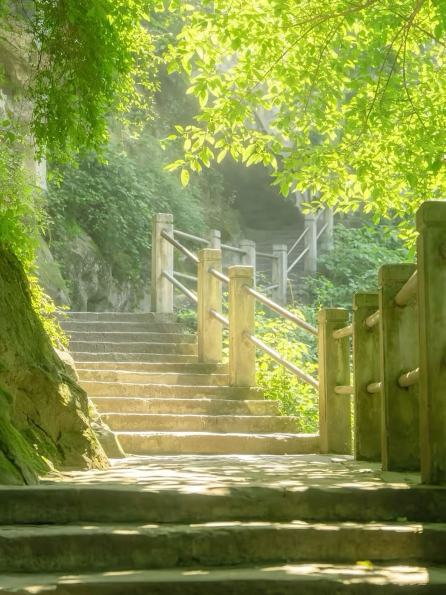 『Re:전설의 경찰』 대표 이미지