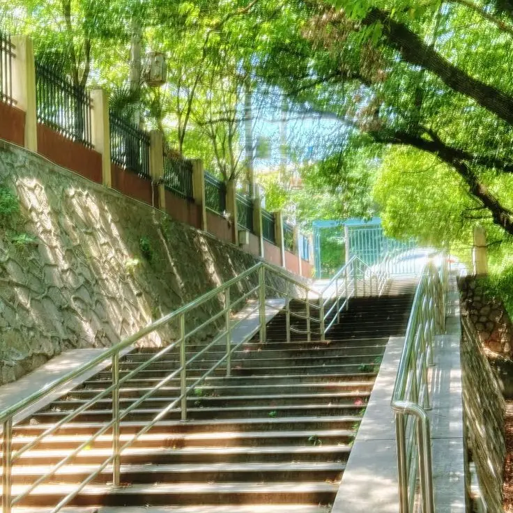 Hi_1010의 나경