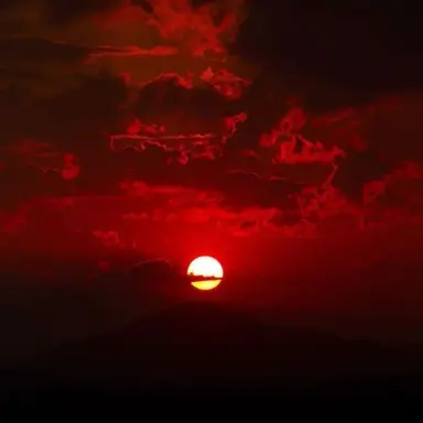 Profile image of 코요 템페스트