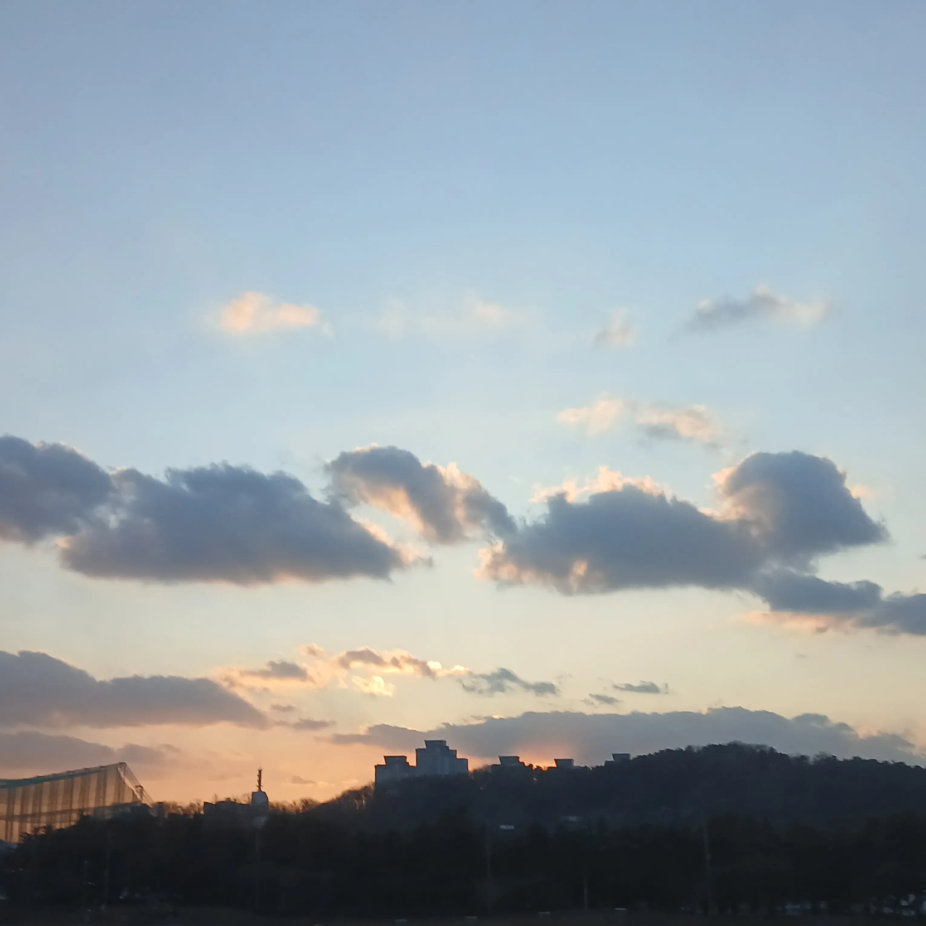 NativeLily9594의 멤버