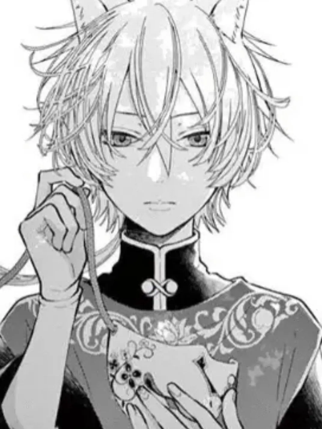 MustyPeak4196의 王の獣