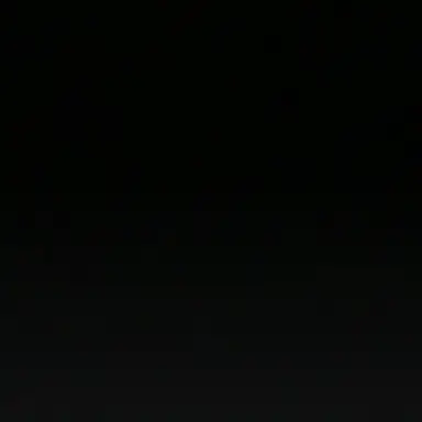 Profile image of フリッピー
