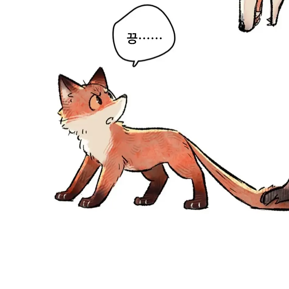 BoredPaint3339의 여우