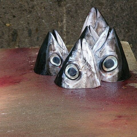 人魚 대표 이미지