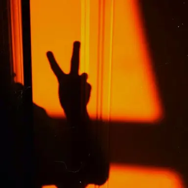 Profile image of 코마