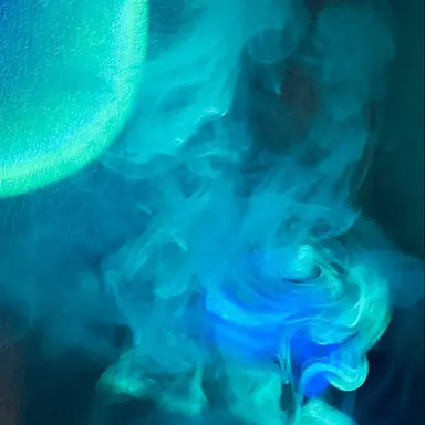 Profile image of 티푸