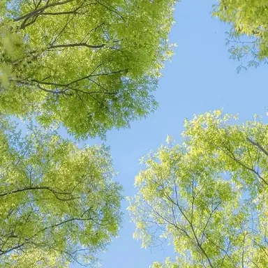 Profile image of 김건우