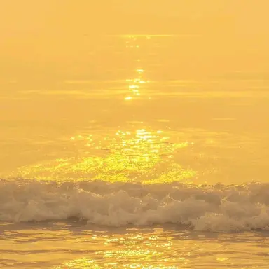 Profile image of 장지아하오