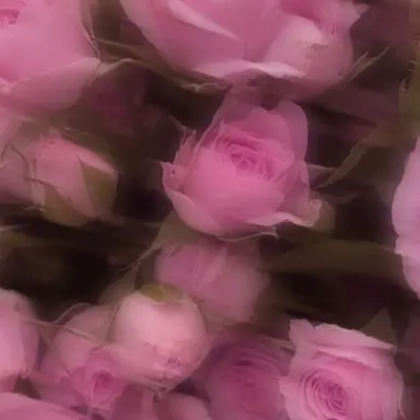 Profile image of 이상원