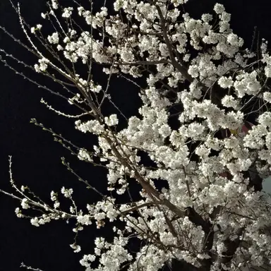 Profile image of 유지민